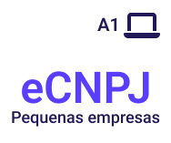 Certificado digital e-CNPJ - PME - no computador - 12 meses